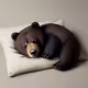 Bear sleeping