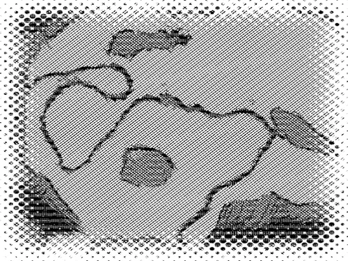 Item #59477978111801274760885859076523141819094195379583281230487891478675130941799 Media