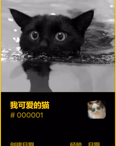my lovely cat V2