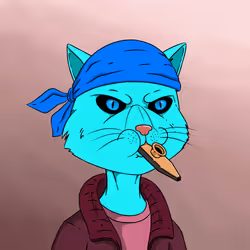 243