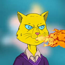 224