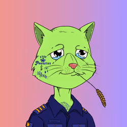 267