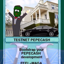  TESTNETPEPE Series 9, Card 36 Rare Pepe | 2016 | Counterparty XCP NFT Asset