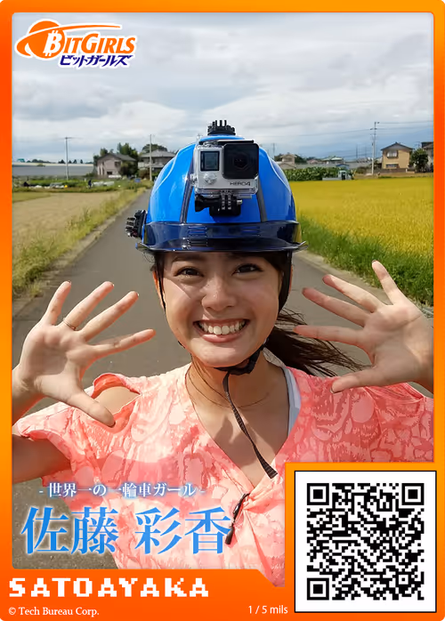 Item #8248293433299045137 Media