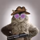 Worthless Cats #129