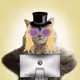 Worthless Cats #123 RARE
