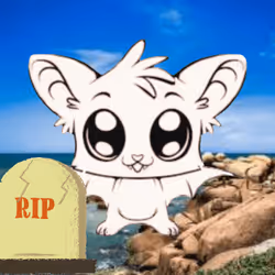 75