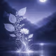 Moonlit Meditation