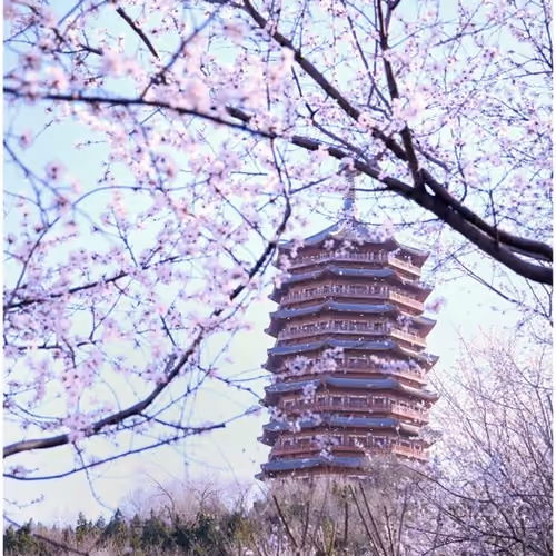 Post by @meteorgarden