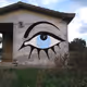 Eyes