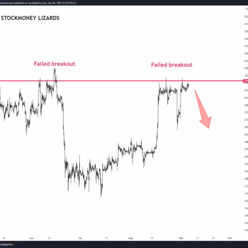 freedogecoin.lens-Collect-2316