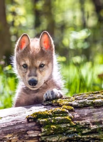 mainstory.lens-Collect-1717