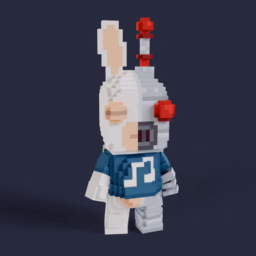 Rabbid #0902