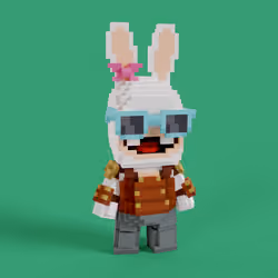 Rabbid #0767