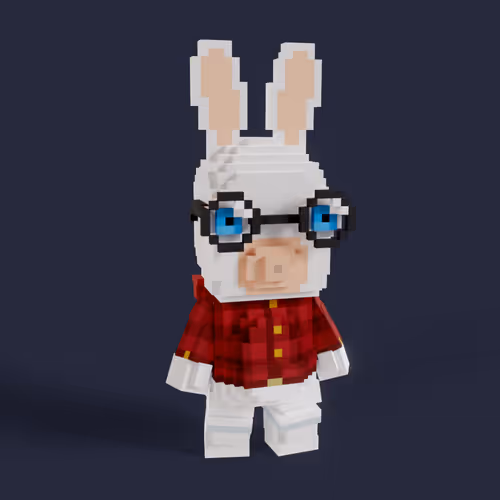 Rabbid #0203