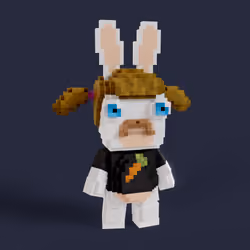 Rabbid #0714