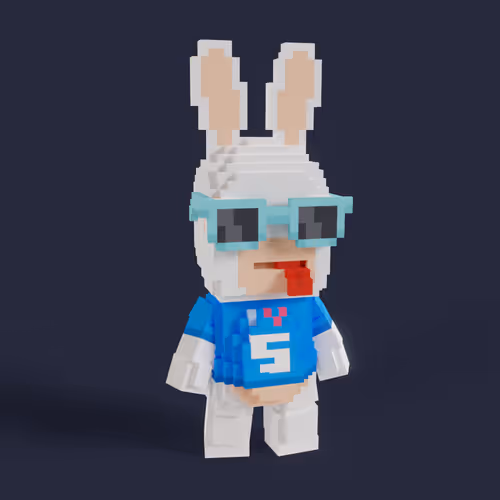 Rabbid #0562