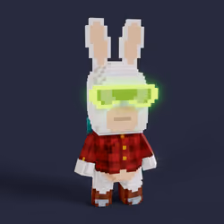 Rabbid #0045