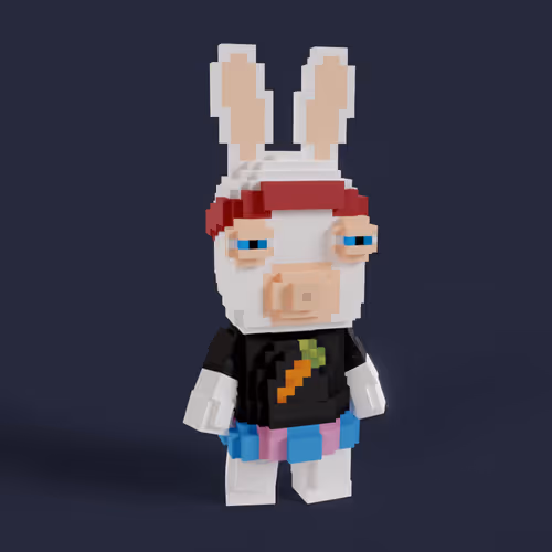 Rabbid #0146