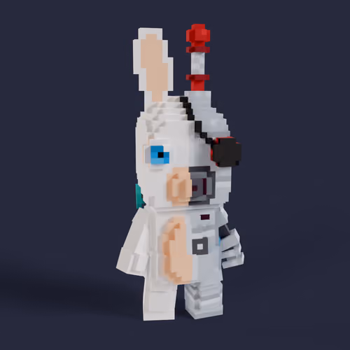Rabbid #0639