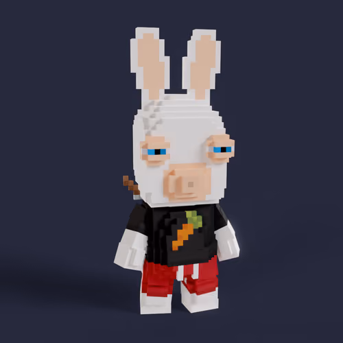 Rabbid #1554