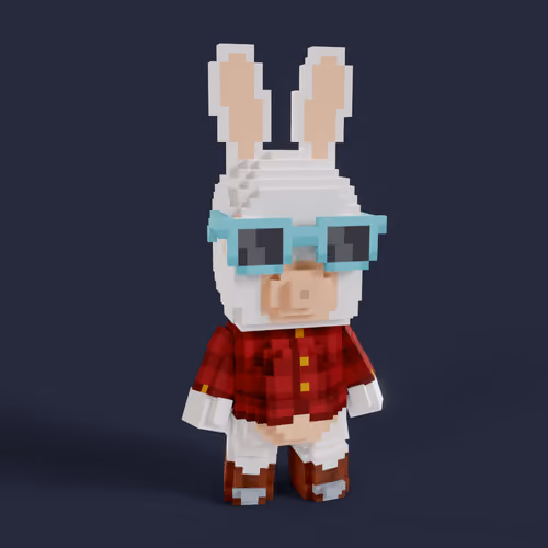 Rabbid #0492