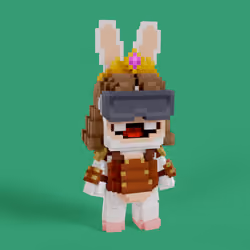 Rabbid #0491
