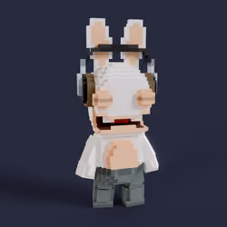 Rabbid #0312