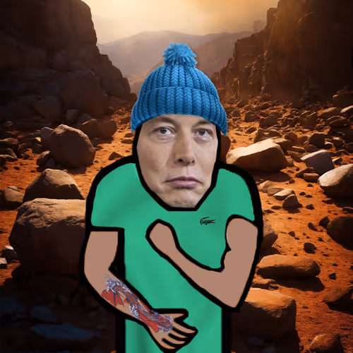 Hashmusk To Mars