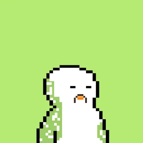 Flock Of Bald Penguins