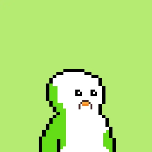 Flock Of Bald Penguins
