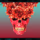 SKULL ART 02