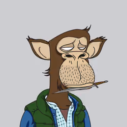 Polygon Ape #2725