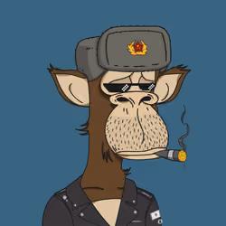 Polygon Ape #9348
