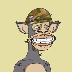 Polygon Ape #9888