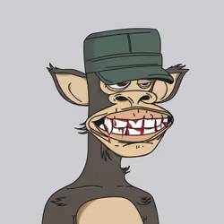 Polygon Ape #7804