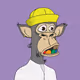 Polygon Ape #6804