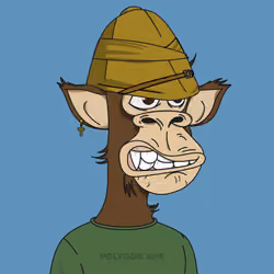 Polygon Ape #2451