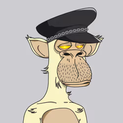 Polygon Ape #2685