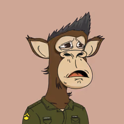 Polygon Ape #526