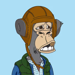 Polygon Ape #3076