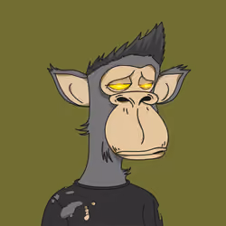 Polygon Ape #9307