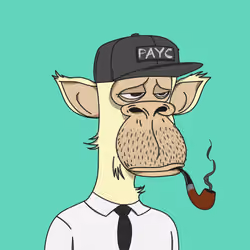Polygon Ape #8774