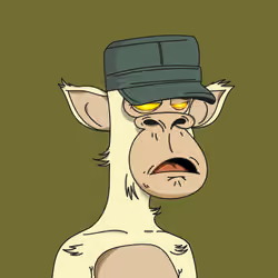 Polygon Ape #9582