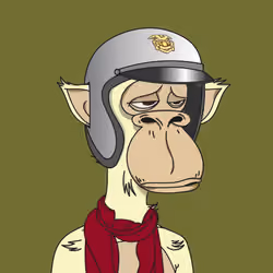 Polygon Ape #940