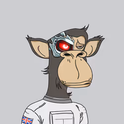 Polygon Ape #7383