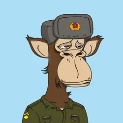 Polygon Ape #5677