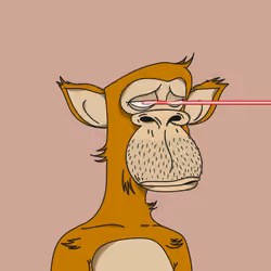 Polygon Ape #8812