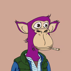 Polygon Ape #4885