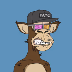Polygon Ape #2627